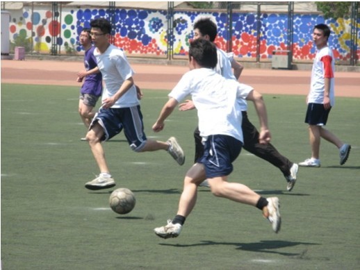 但在杨鸣看 但在杨鸣看