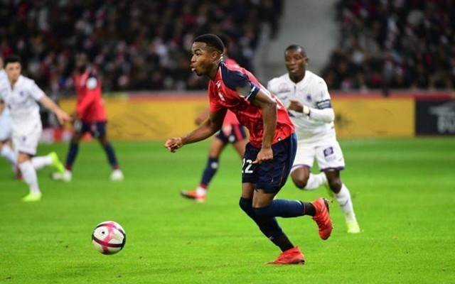 从战术视角 从战术视角